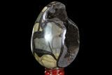Septarian Dragon Egg Geode - Black Crystals #88531-1
